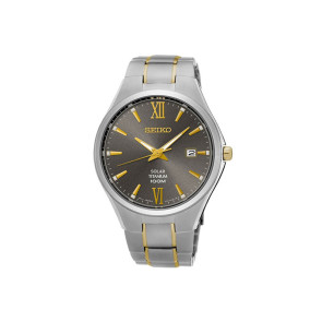 Correa de reloj Seiko SNE409P1 / V157-0BB0 Titanio